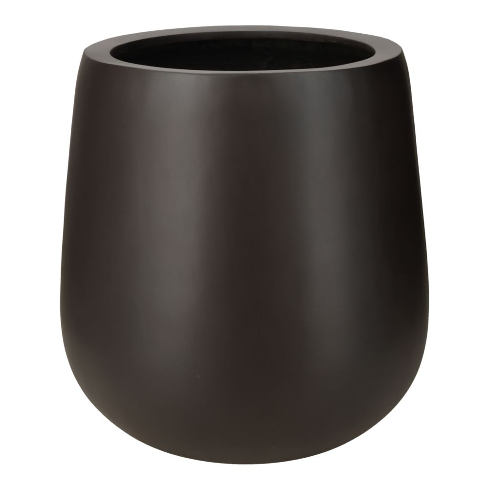 Donga Low EU Nutmeg.