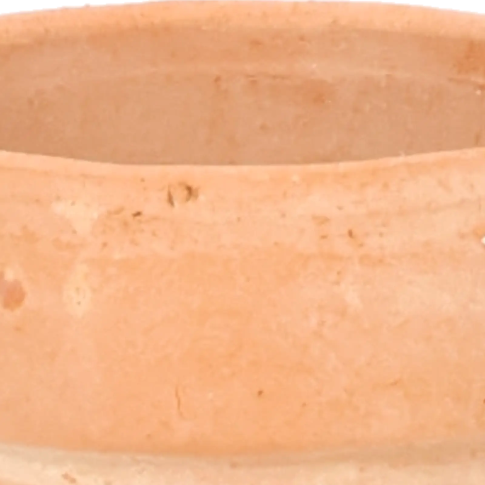 Closeup af Urtepotte Arena MINI.