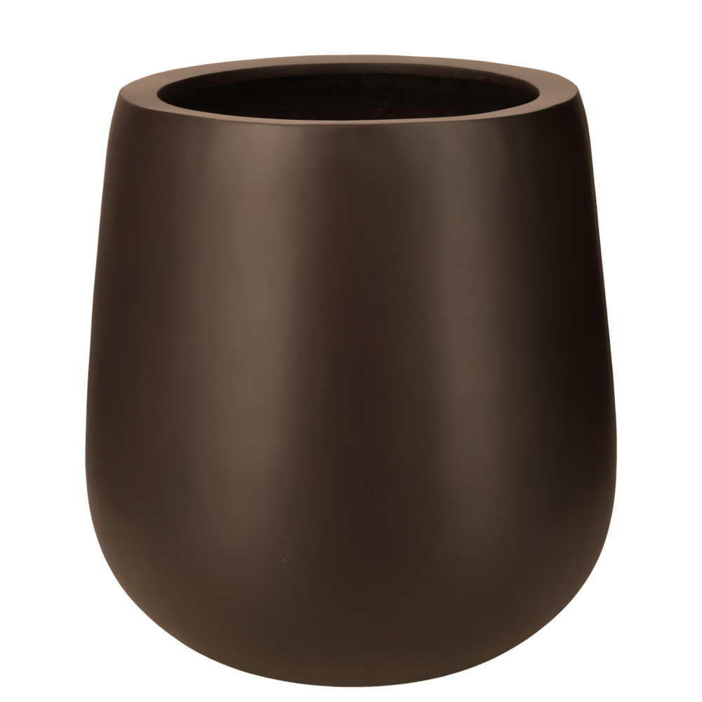 Donga Low EU Nutmeg.