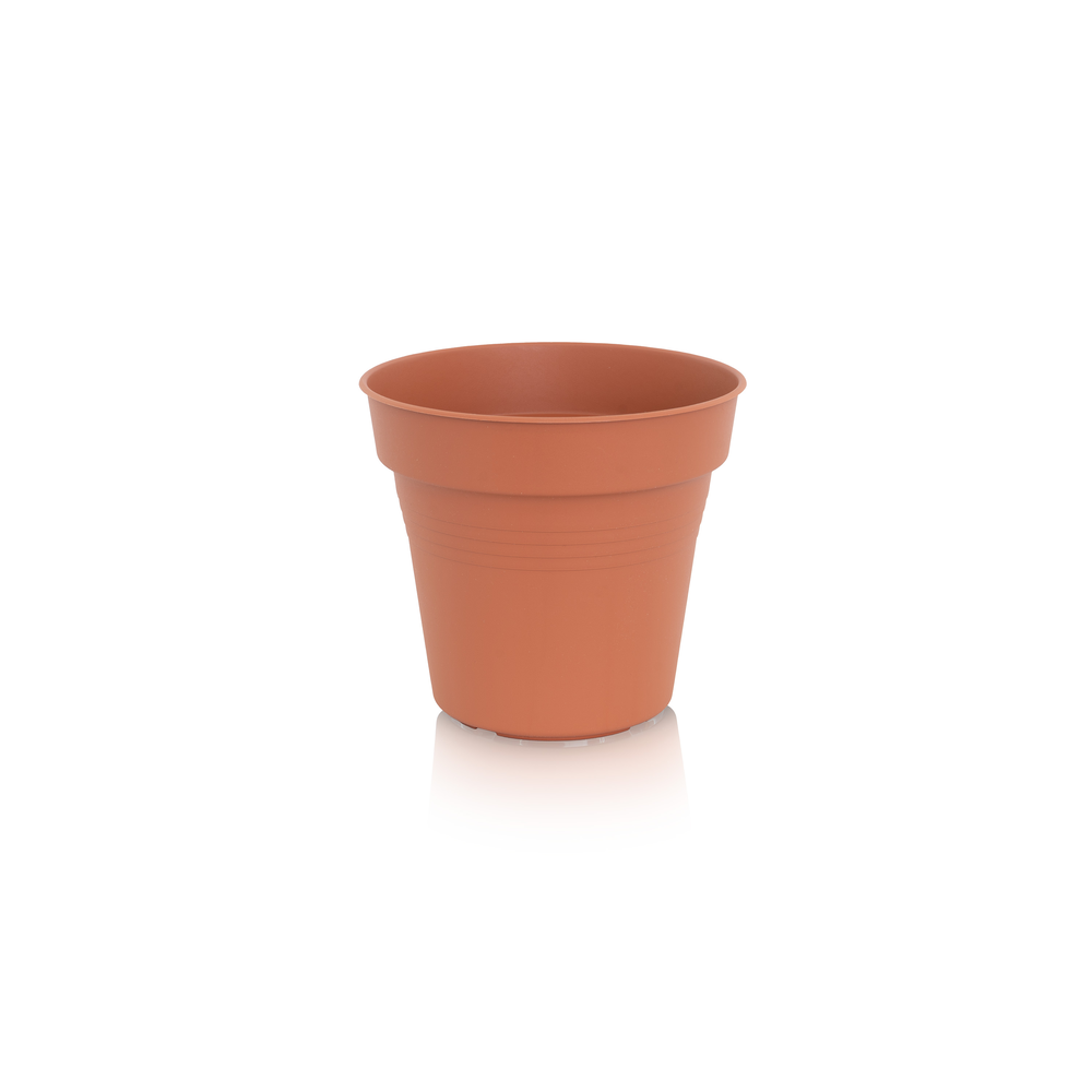 Flower Pot Camelie 21.