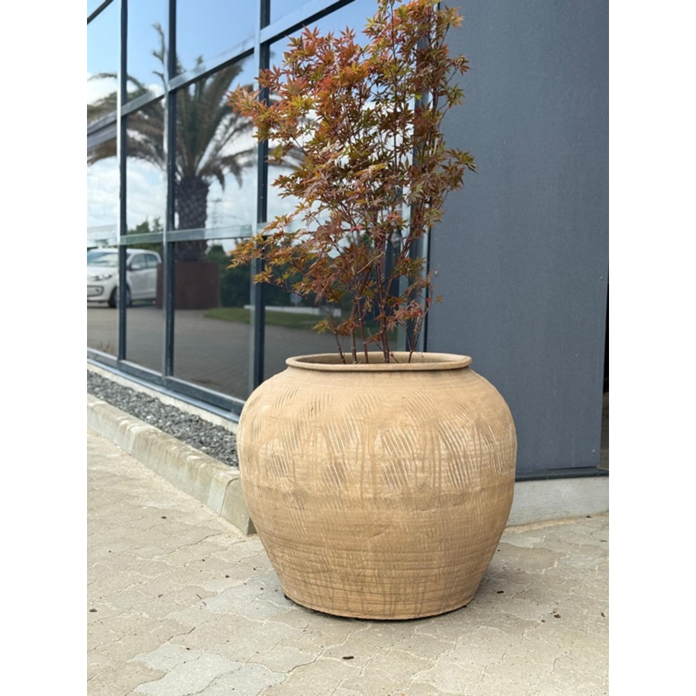 Miljøbillede med Mudan Vintage Pot.