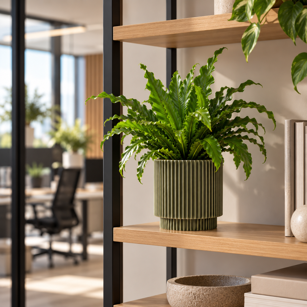 Vase Cylinder Groove Indoor Green.