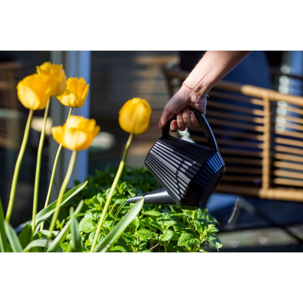 Miljøbillede med Watering Can Doppio Groove 2L / Vandkande Black.