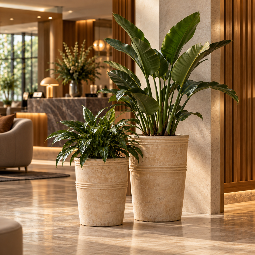 Dobrac Terracotta Antique Choco.