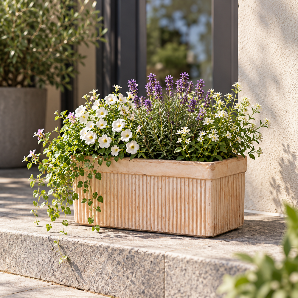 Cassetta Rigata Box.