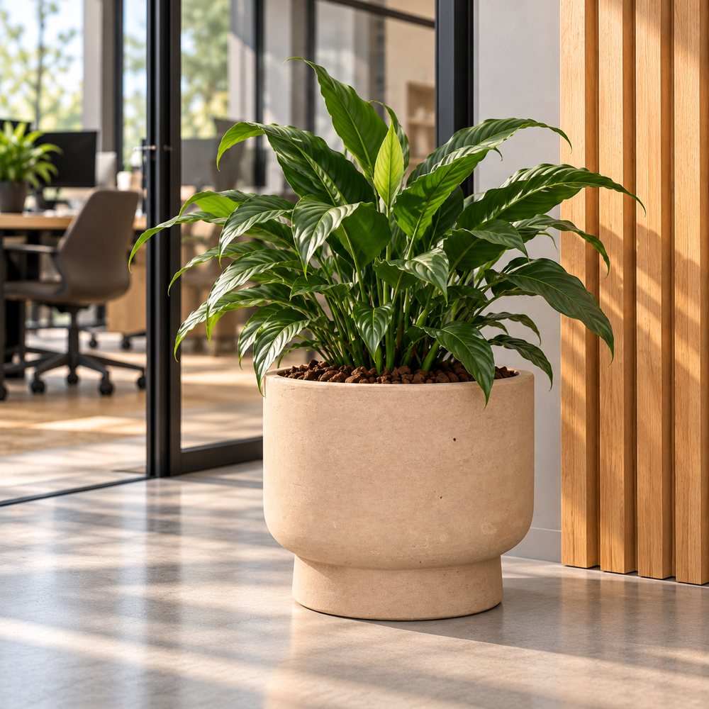 Sapa Choco Terracotta.
