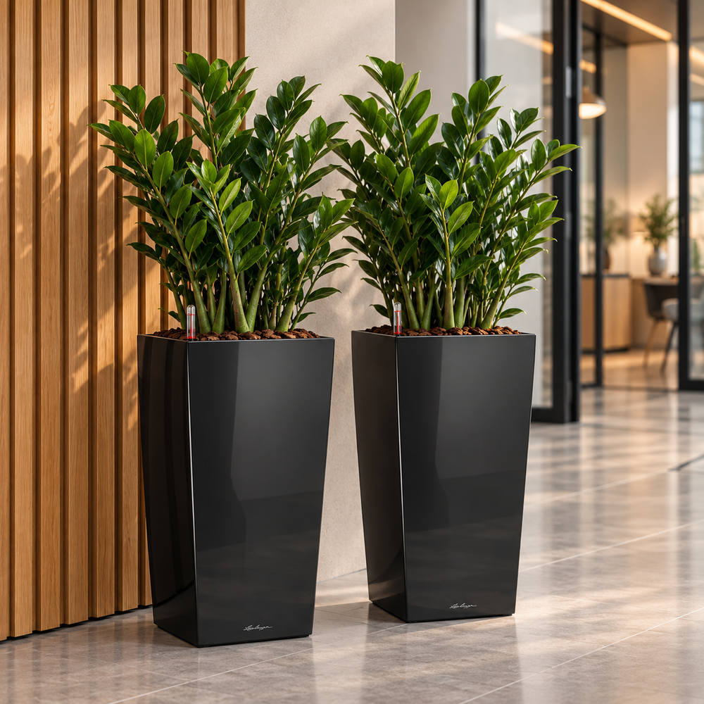 CUBICO Premium 30 - All-In-One black.