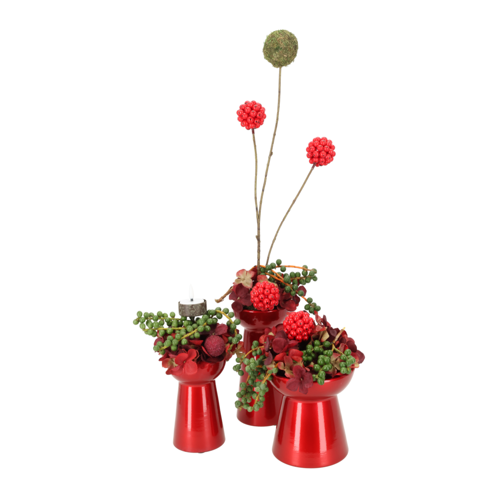 Miljøbillede med Amaryllis Vase Red.