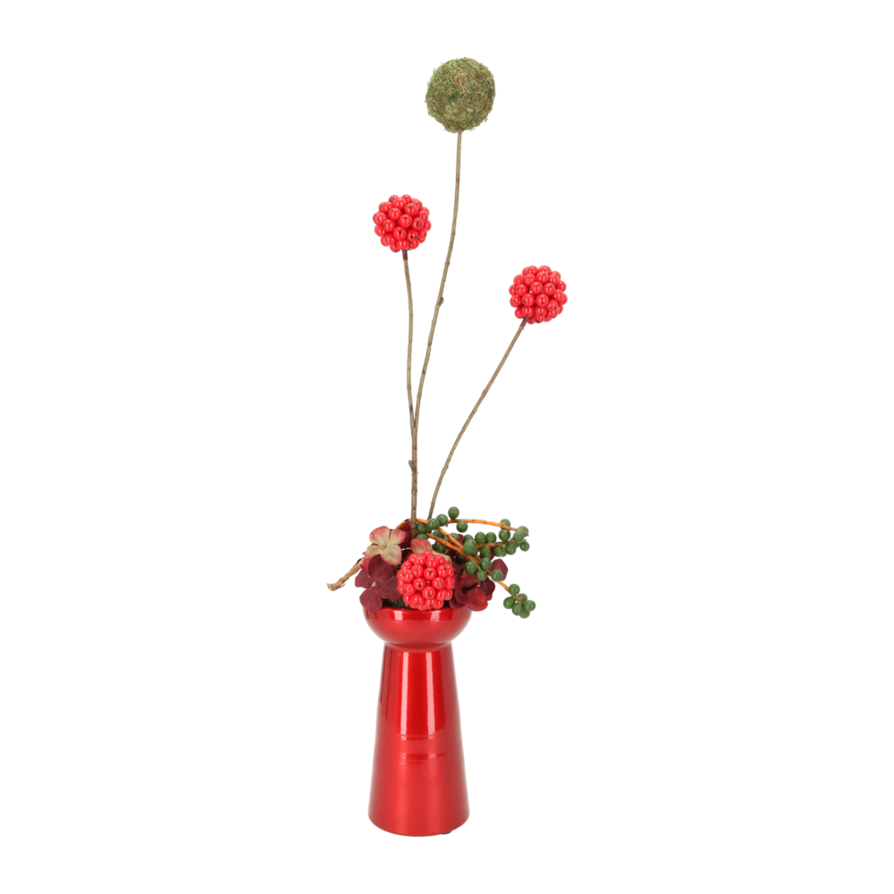 Miljøbillede med Hyacinth Vase High Red.