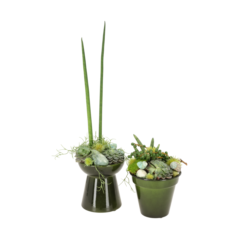 Miljøbillede med Amaryllis Vase Green.