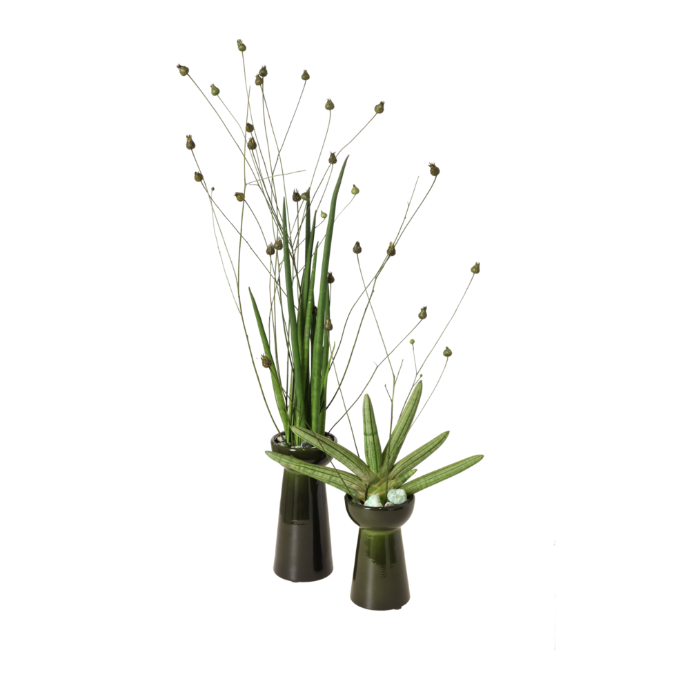 Miljøbillede med Hyacinth Vase Green.