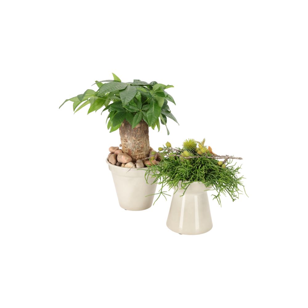 Miljøbillede med Amaryllis Vase Linen.