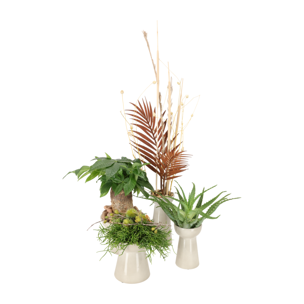 Miljøbillede med Hyacinth Vase High Linen.