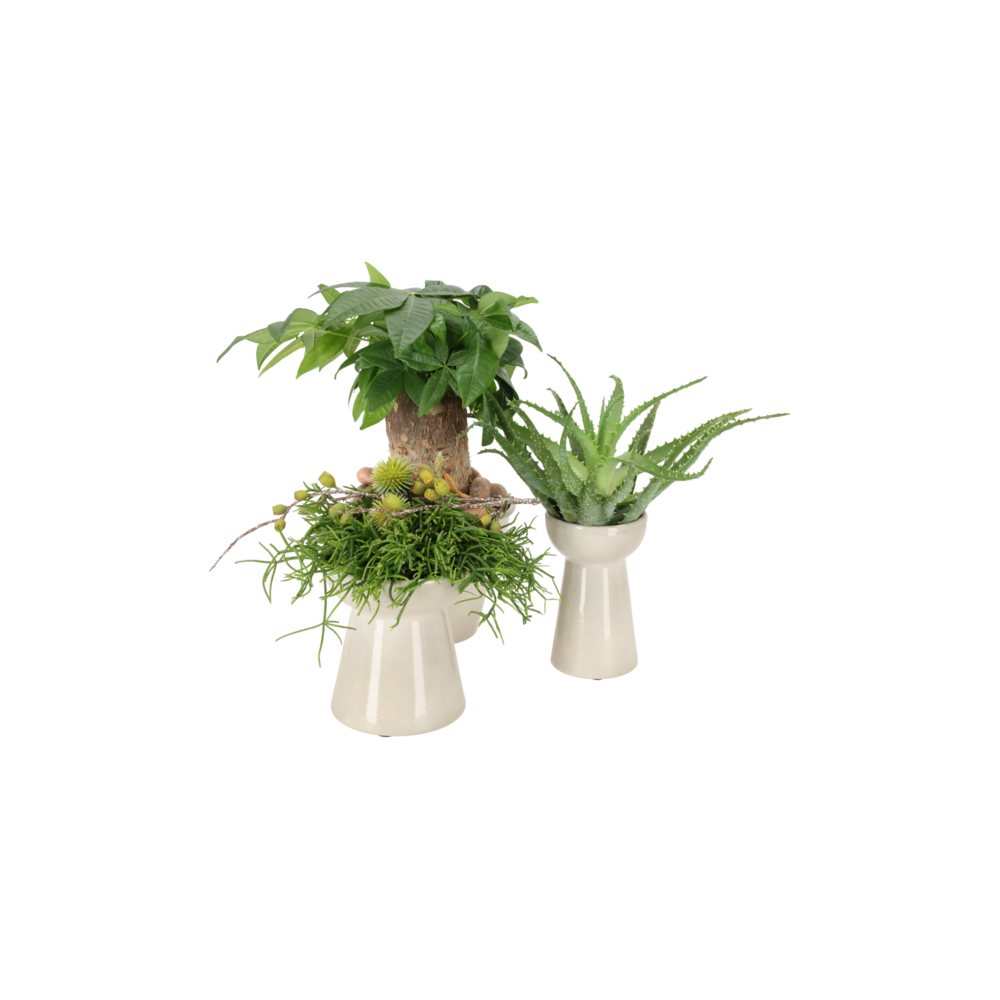 Miljøbillede med Hyacinth Vase Linen.