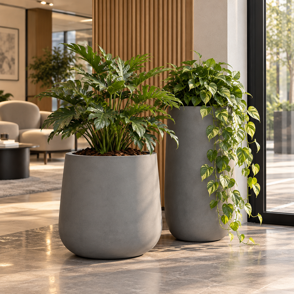 Donga Low Cement.