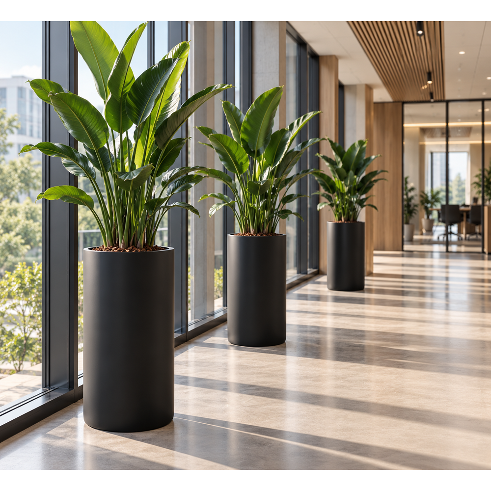 Seine Fiberstone Cylinder Black Mat.